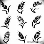 Фото эскиз для тату колос пшеницы 23.10.2018 №105 - wheat tattoo sketch - tatufoto.com