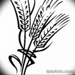 Фото эскиз для тату колос пшеницы 23.10.2018 №106 - wheat tattoo sketch - tatufoto.com