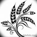 Фото эскиз для тату колос пшеницы 23.10.2018 №107 - wheat tattoo sketch - tatufoto.com