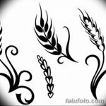 Фото эскиз для тату колос пшеницы 23.10.2018 №108 - wheat tattoo sketch - tatufoto.com