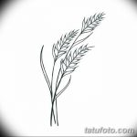 Фото эскиз для тату колос пшеницы 23.10.2018 №110 - wheat tattoo sketch - tatufoto.com
