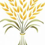 Фото эскиз для тату колос пшеницы 23.10.2018 №111 - wheat tattoo sketch - tatufoto.com