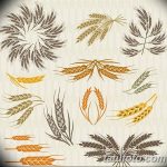 Фото эскиз для тату колос пшеницы 23.10.2018 №112 - wheat tattoo sketch - tatufoto.com