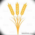 Фото эскиз для тату колос пшеницы 23.10.2018 №119 - wheat tattoo sketch - tatufoto.com