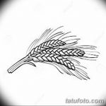 Фото эскиз для тату колос пшеницы 23.10.2018 №125 - wheat tattoo sketch - tatufoto.com