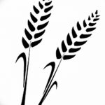 Фото эскиз для тату колос пшеницы 23.10.2018 №130 - wheat tattoo sketch - tatufoto.com