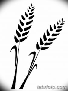 Простой и стильный эскиз татуировки с двумя колосками пшеницы, выполненный в черном цвете. Идеально для любителей лаконичных и символичных рисунков.