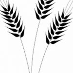 Фото эскиз для тату колос пшеницы 23.10.2018 №132 - wheat tattoo sketch - tatufoto.com
