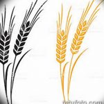 Фото эскиз для тату колос пшеницы 23.10.2018 №133 - wheat tattoo sketch - tatufoto.com