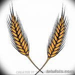 Фото эскиз для тату колос пшеницы 23.10.2018 №134 - wheat tattoo sketch - tatufoto.com