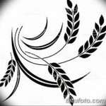 Фото эскиз для тату колос пшеницы 23.10.2018 №147 - wheat tattoo sketch - tatufoto.com