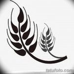 Фото эскиз для тату колос пшеницы 23.10.2018 №148 - wheat tattoo sketch - tatufoto.com