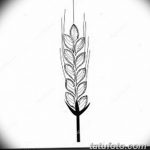 Фото эскиз для тату колос пшеницы 23.10.2018 №152 - wheat tattoo sketch - tatufoto.com