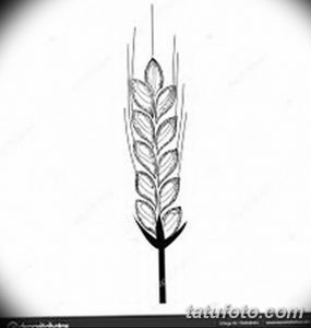 Черно-белое фото тату с изображением колоса пшеницы. Лаконичный рисунок, идеально подходящий для минималистичных эскизов татуировок.