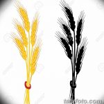 Фото эскиз для тату колос пшеницы 23.10.2018 №155 - wheat tattoo sketch - tatufoto.com