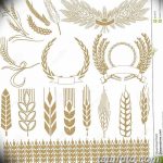 Фото эскиз для тату колос пшеницы 23.10.2018 №164 - wheat tattoo sketch - tatufoto.com