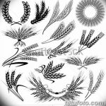 Фото эскиз для тату колос пшеницы 23.10.2018 №170 - wheat tattoo sketch - tatufoto.com