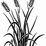 Фото эскиз для тату колос пшеницы 23.10.2018 №171 - wheat tattoo sketch - tatufoto.com