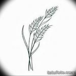 Фото эскиз для тату колос пшеницы 23.10.2018 №175 - wheat tattoo sketch - tatufoto.com