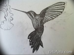 Черно-белый эскиз татуировки колибри, сидящей на цветке. Реалистичная прорисовка деталей, тени и текстуры создают эффект объемности и глубины.