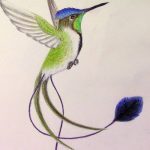 Фото эскиз тату колибри 15.10.2018 №018 - sketch of hummingbird tattoo - tatufoto.com