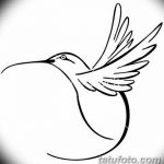 Фото эскиз тату колибри 15.10.2018 №020 - sketch of hummingbird tattoo - tatufoto.com