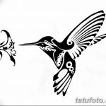 Фото эскиз тату колибри 15.10.2018 №023 - sketch of hummingbird tattoo - tatufoto.com