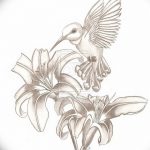 Фото эскиз тату колибри 15.10.2018 №024 - sketch of hummingbird tattoo - tatufoto.com