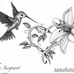 Фото эскиз тату колибри 15.10.2018 №034 - sketch of hummingbird tattoo - tatufoto.com