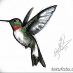 Фото эскиз тату колибри 15.10.2018 №039 - sketch of hummingbird tattoo - tatufoto.com