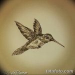 Фото эскиз тату колибри 15.10.2018 №040 - sketch of hummingbird tattoo - tatufoto.com