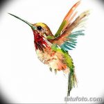 Фото эскиз тату колибри 15.10.2018 №044 - sketch of hummingbird tattoo - tatufoto.com