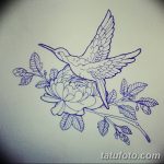 Фото эскиз тату колибри 15.10.2018 №051 - sketch of hummingbird tattoo - tatufoto.com