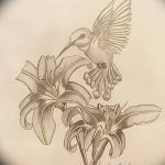 Фото эскиз тату колибри 15.10.2018 №054 - sketch of hummingbird tattoo - tatufoto.com
