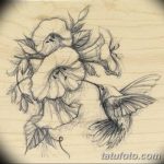 Фото эскиз тату колибри 15.10.2018 №056 - sketch of hummingbird tattoo - tatufoto.com