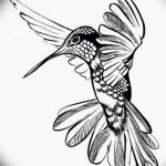 Фото эскиз тату колибри 15.10.2018 №061 - sketch of hummingbird tattoo - tatufoto.com
