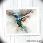 Фото эскиз тату колибри 15.10.2018 №063 - sketch of hummingbird tattoo - tatufoto.com