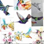 Фото эскиз тату колибри 15.10.2018 №066 - sketch of hummingbird tattoo - tatufoto.com