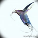 Фото эскиз тату колибри 15.10.2018 №069 - sketch of hummingbird tattoo - tatufoto.com