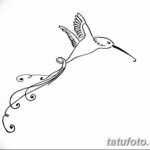 Фото эскиз тату колибри 15.10.2018 №070 - sketch of hummingbird tattoo - tatufoto.com
