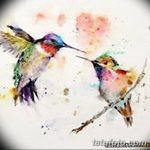 Фото эскиз тату колибри 15.10.2018 №073 - sketch of hummingbird tattoo - tatufoto.com