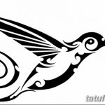 Фото эскиз тату колибри 15.10.2018 №074 - sketch of hummingbird tattoo - tatufoto.com