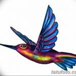 Фото эскиз тату колибри 15.10.2018 №075 - sketch of hummingbird tattoo - tatufoto.com
