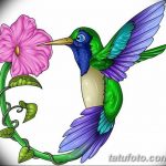Фото эскиз тату колибри 15.10.2018 №076 - sketch of hummingbird tattoo - tatufoto.com