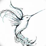 Фото эскиз тату колибри 15.10.2018 №078 - sketch of hummingbird tattoo - tatufoto.com