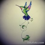 Фото эскиз тату колибри 15.10.2018 №082 - sketch of hummingbird tattoo - tatufoto.com