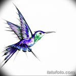 Фото эскиз тату колибри 15.10.2018 №084 - sketch of hummingbird tattoo - tatufoto.com