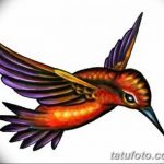 Фото эскиз тату колибри 15.10.2018 №087 - sketch of hummingbird tattoo - tatufoto.com