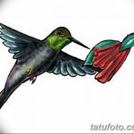 Фото эскиз тату колибри 15.10.2018 №088 - sketch of hummingbird tattoo - tatufoto.com
