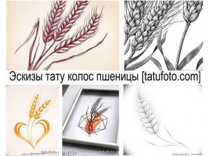 Коллекция эскизов татуировок колосьев пшеницы в различных стилях. От реалистичных рисунков до минималистичных контурных изображений.